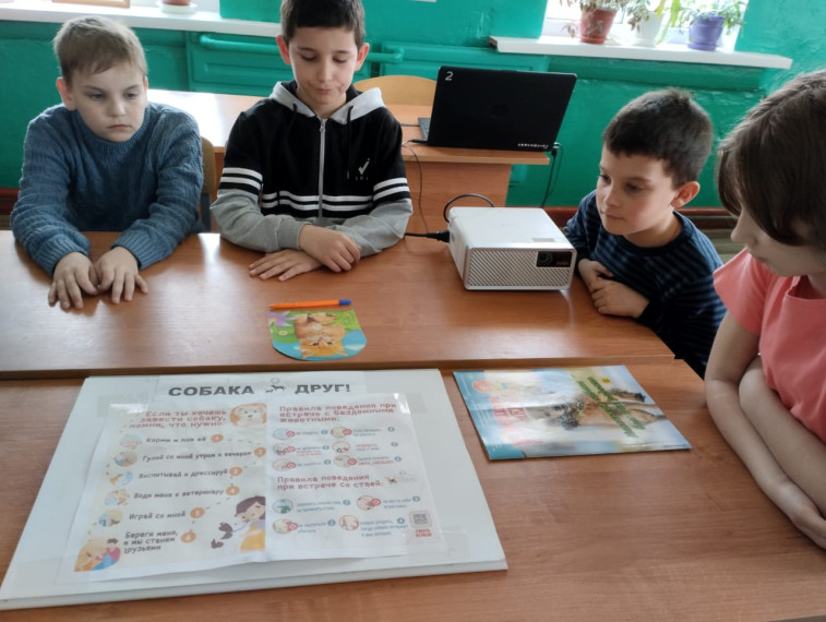 «Ответственное обращение с животными» Мы в ответе за тех, кого приручили!.